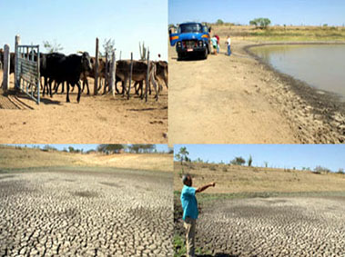 Seca e crise financeira castigam Capela do Alto Alegre