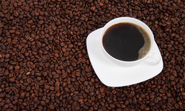 Integração de soluções químicas e biológicas no café é destaque da UPL no Encoffee