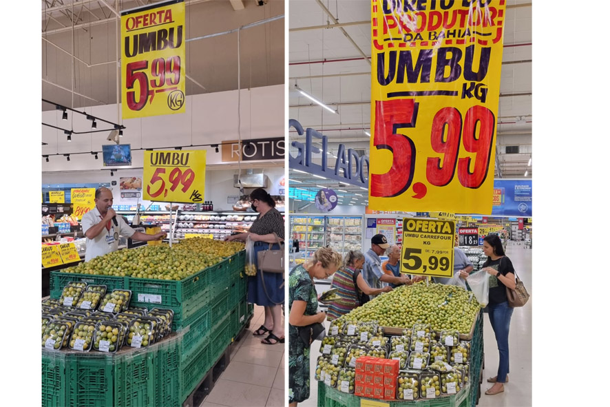 Umbu da Caatinga baiana pode ser encontrado em grande rede de supermercados