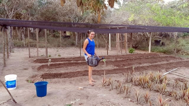 Instituto Agrovida inicia a última fase das implantações dos Quintais Produtivos.
