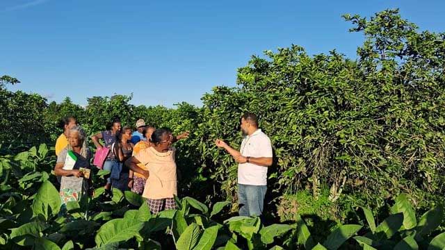 Fortalecimento das associações faz parte da missão do Instituto Agrovida