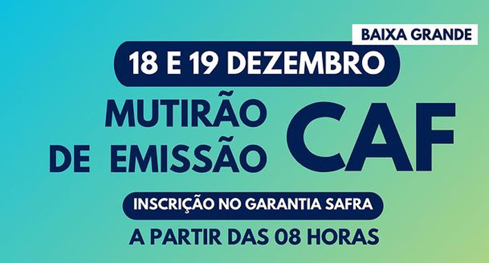 Instituto Agrovida  promove MUTIRÃO DE CAF l nos dias 18 e 19 de dezembro em Baixa Grande