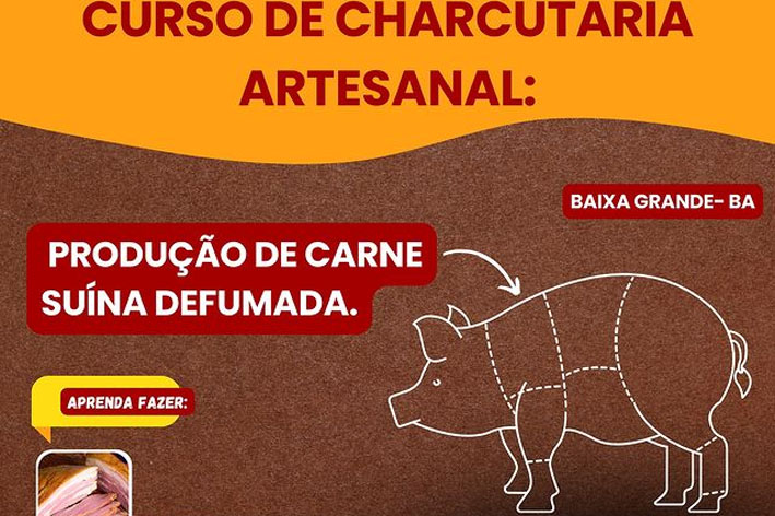 Instituto Agrovida vai promove em Baixa Grande Curso de Produção de Carne Suína Defumada