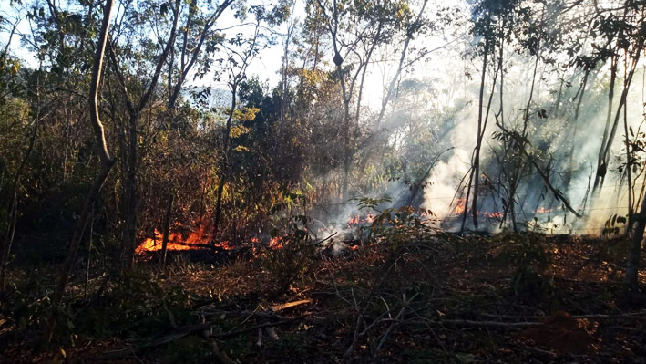 Corpo de Bombeiro e Secretário de Meio Ambiente comentam sobre o Incêndio que devasta região do Jequitibá em Mundo Novo – BA
