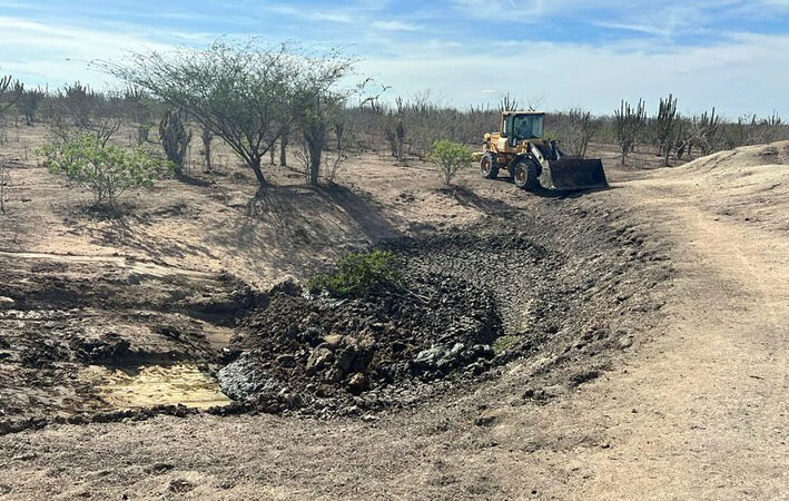 Operação limpeza de aguadas em Capela do Alto Alegre: Tanquinho I