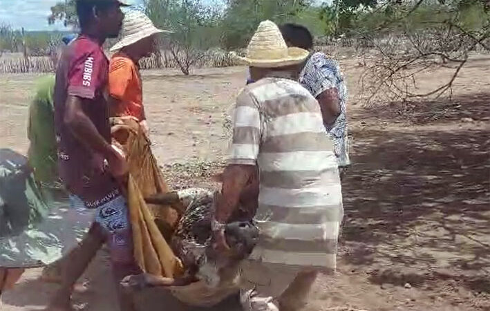 Governador da Bahia Decreta Situação de Emergência em Serra Preta devido a Longa Estiagem