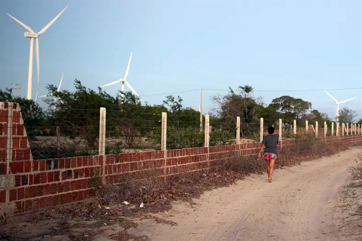 Sonho da energia verde vira pesadelo para alguns na Caatinga