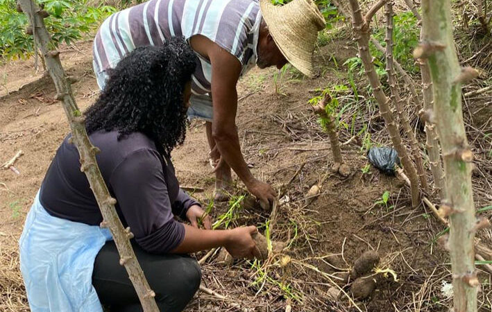 Técnico do Instituto Agrovida visitar a propriedade do Sr Roque e Dona Hilda do Livramento lá na Comunidade Gravata de Baixo, município de Muritiba