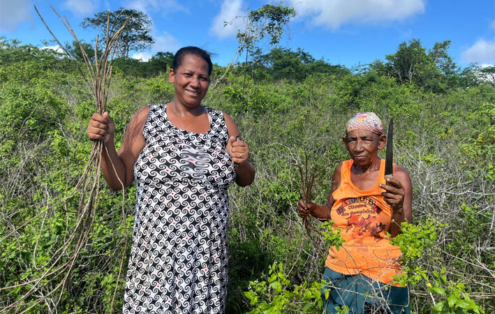 Março Mulher, Instituto Agrovida mostra a rotina das artesã Santa e Catiane Rodrigues em Baixa Grande