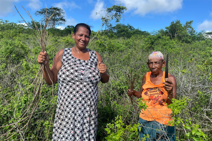 Março Mulher, Instituto Agrovida mostra a rotina das artesã Santa e Catiane Rodrigues em Baixa Grande