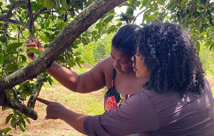 Cuidando com carinho das nossas limas ácidas Tahiti! Instituto Agrovida presente no Tabuleiro do município de Muritiba