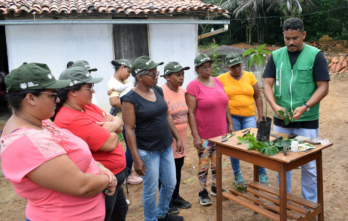 Sindicato do Produtor em Parceria do SENAR promove Curso de Produção de Mudas Frutíferas, no Morro Pelado em Baixa Grande