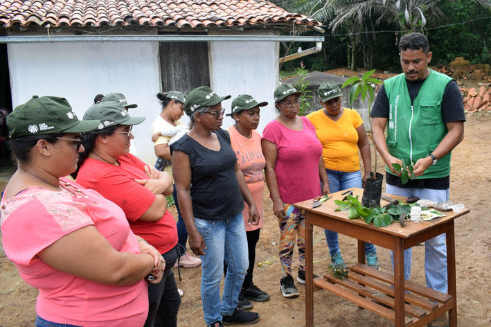 Sindicato do Produtor em Parceria do SENAR promove Curso de Produção de Mudas Frutíferas, no Morro Pelado em Baixa Grande