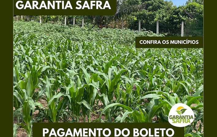 Instituto Agrovida comunicado o adiamento para o pagamento dos boletos do programa Garantia Safra