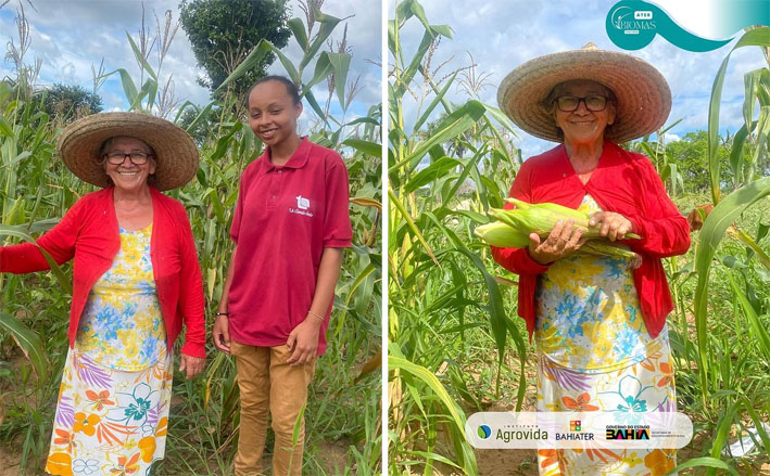 Instituto Agrovida mostra a força da agricultura familiar em Pé de Morro, município de Várzea do Poço