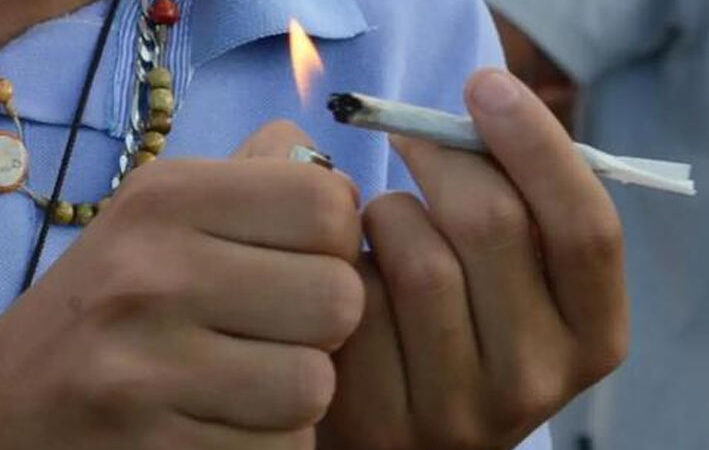 O Brasil está preparado para a liberação da maconha? O que dizem os especialistas?