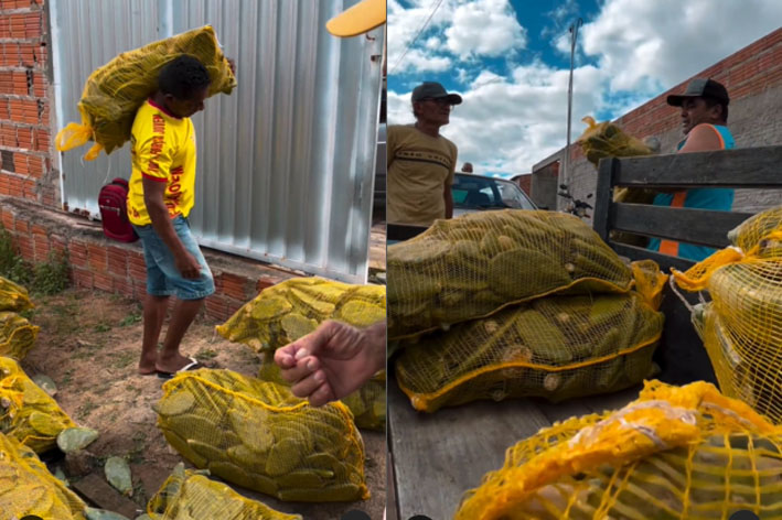 Instituto Agrovida realiza Distribuição de 50.000 Raquetes de Palmas l Várzea do Poço
