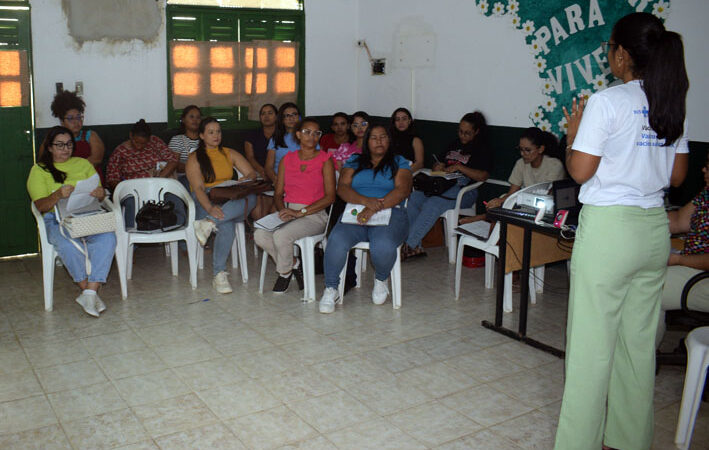 Profissionais de Saúde de Baixa Grande Participam de Capacitação sobre Atualização em Sala de Vacina e Cartão Vacinal
