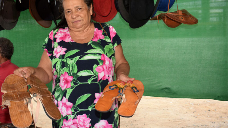 Vila da Agricultura Familiar e Economia Solidária na Expo Mairi 2025