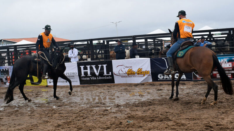 Segundo dia da 1ª Expo Mairi começa com Campeonato de Égua Júnior de Marcha Picada
