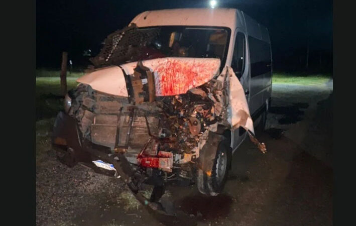 Van com pacientes de Utinga colide com cavalo na BA-130 entre Macajuba e Baixa Grande