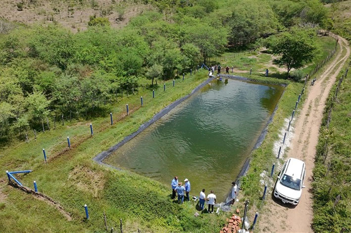Italegre vive marco histórico com o povoamento do tanque pesque-pague em Baixa Grande
