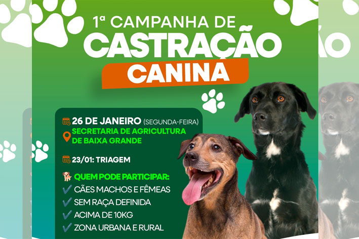 Campanha de Castração Canina em Baixa Grande