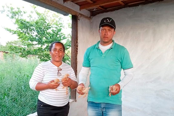 Ação da Secretaria de Agricultura garante saúde das aves do Projeto Mais Ater