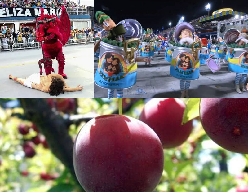 Zombaria aos evangélicos no Carnaval ou árvores dando seus genuínos frutos?