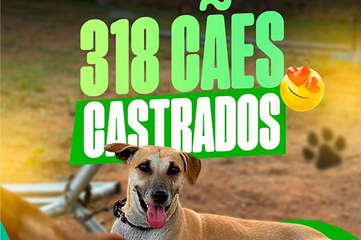 Campanha de castração canina é concluída com 318 atendimentos em Baixa Grande