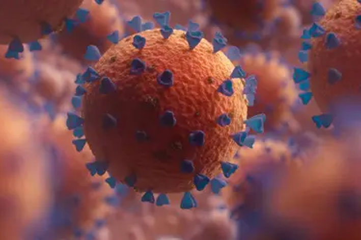 Covid-19: nova variante detectada em 23 países possui maior escape imunológico