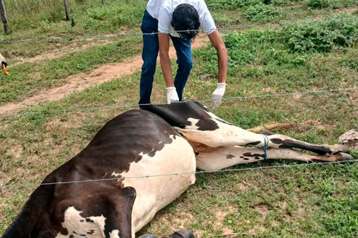 Secretaria de Agricultura intensifica apoio a produtores com visitas técnicas na zona rural de Baixa Grande