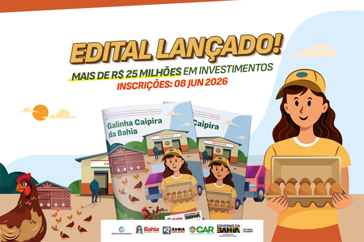 Governo da Bahia lança edital de R$ 25,6 milhões para produção de ovos caipiras