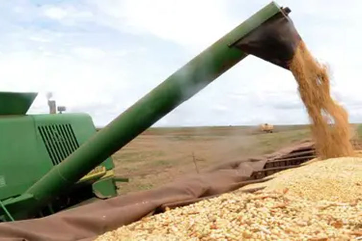 Agronegócio responde por 45,7% das exportações brasileiras e cresce 14% em junho