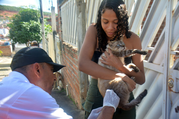 Vigilância Epidemiológica de Baixa Grande intensifica a vacinação antirrábica de cães e gatos; confira o cronograma